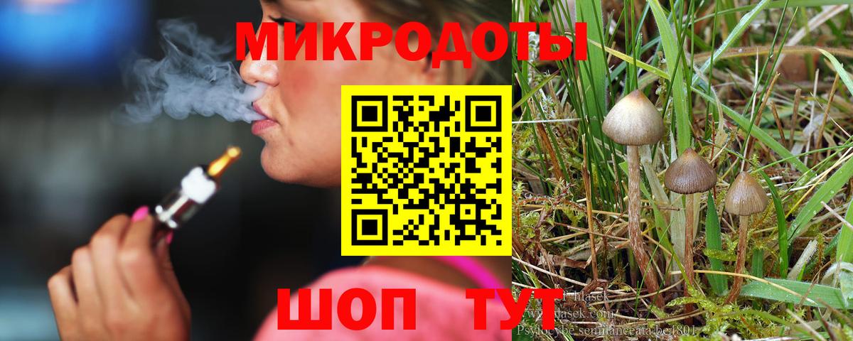 Галлюциногенные грибы Psilocybe Большой Камень