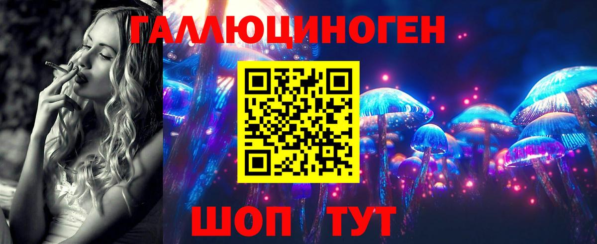 Псилоцибиновые грибы GOLDEN TEACHER  Вход с VPN  купить закладку  Большой Камень 